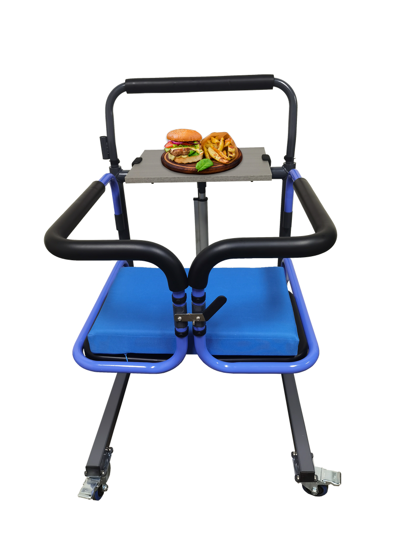 EZ Lift Assist Lifting & Transfer Chair